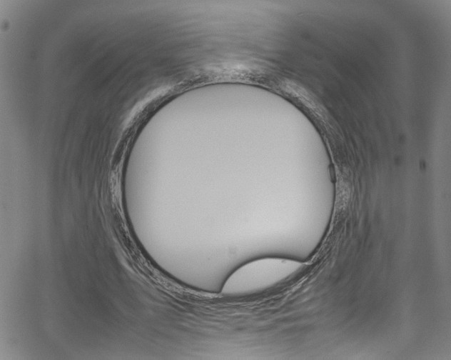 X0000065980583200603030932