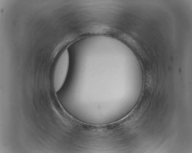 X0000065980586200603030932