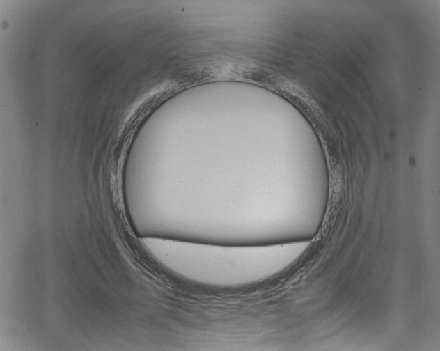 X0000065980587200603030932