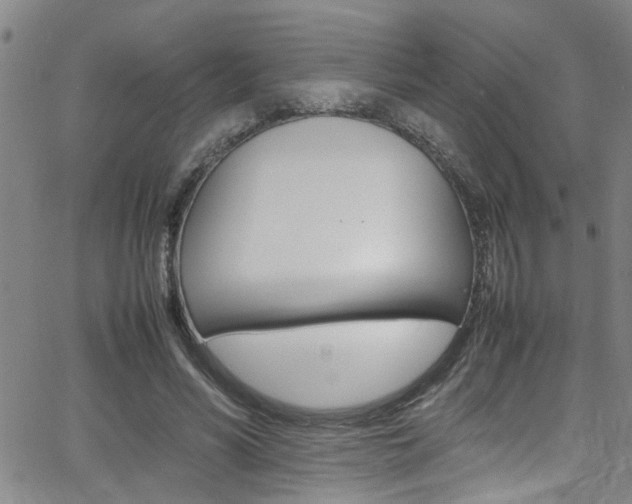 X0000065980590200603030932