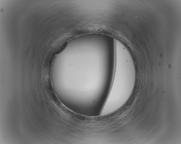 X0000065980593200603030932