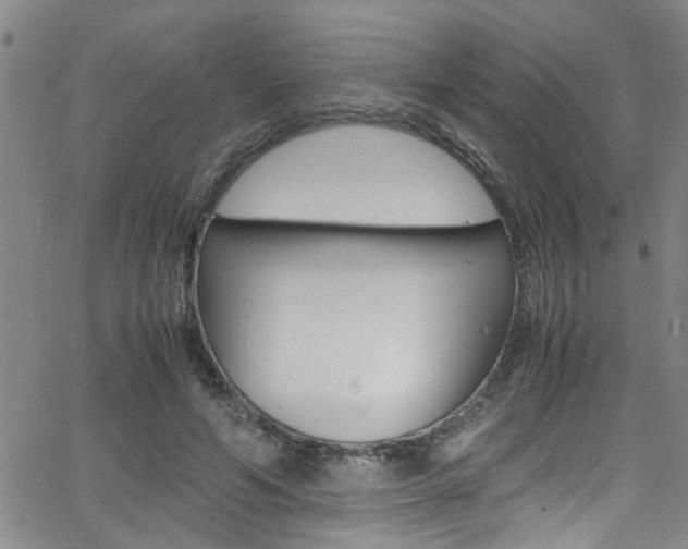 X0000065980594200603030932