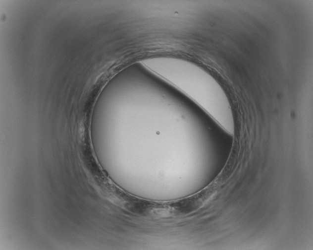 X0000065980595200603030932