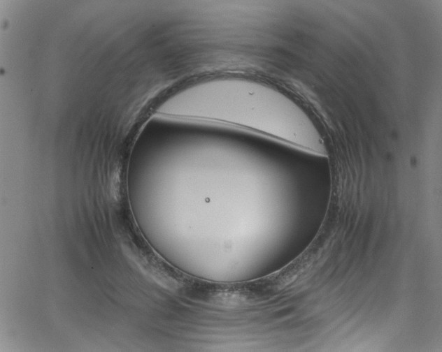 X0000065980596200603030932