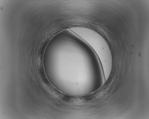 X0000065980597200603030932