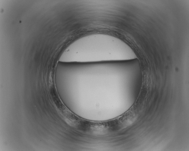 X0000065980598200603030932