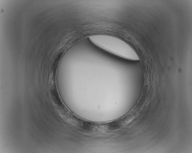 X0000065980599200603030932