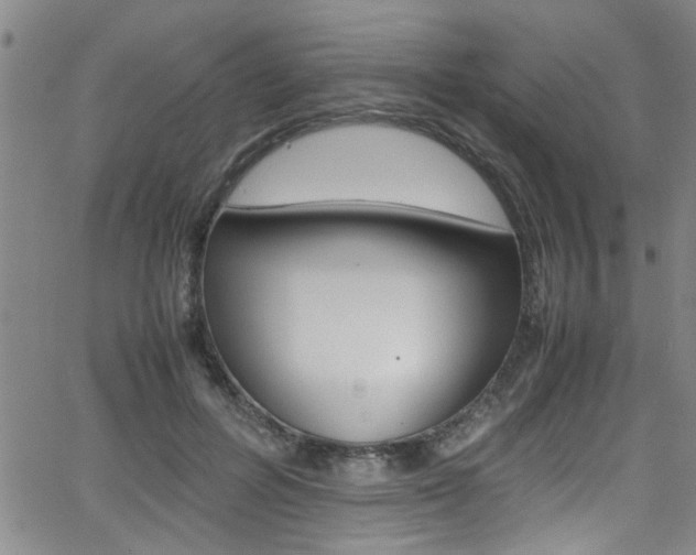 X0000065980600200603030932