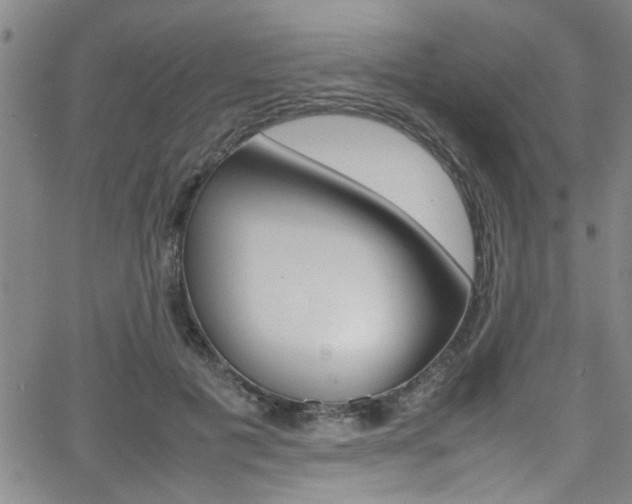 X0000065980601200603030932