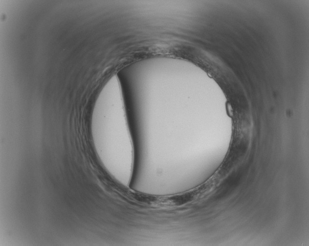 X0000065980603200603030932