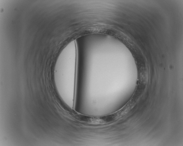 X0000065980605200603030932