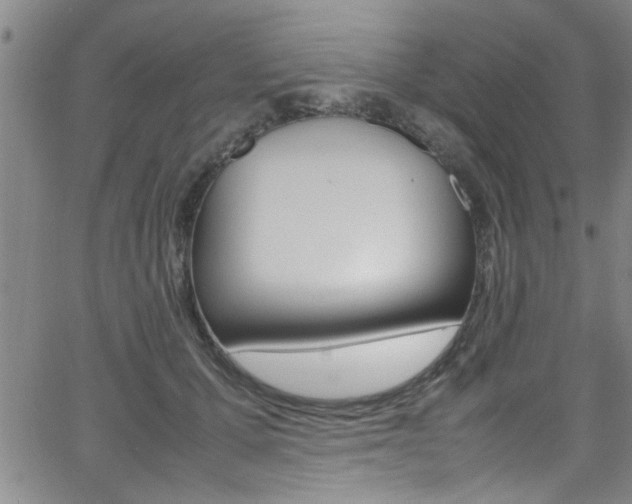 X0000065980607200603030932