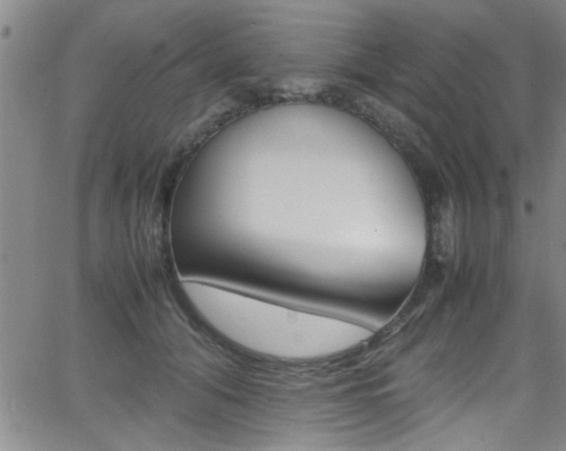 X0000065980608200603030932