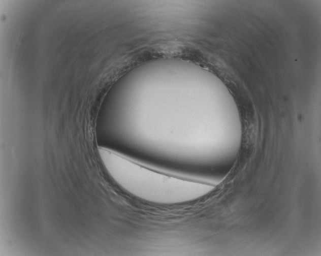 X0000065980609200603030932