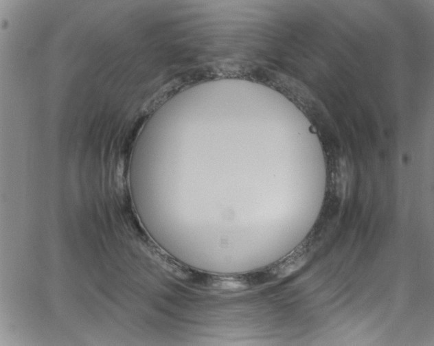 X0000065980610200603030932