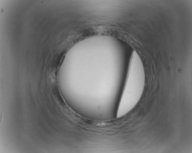 X0000065980611200603030932