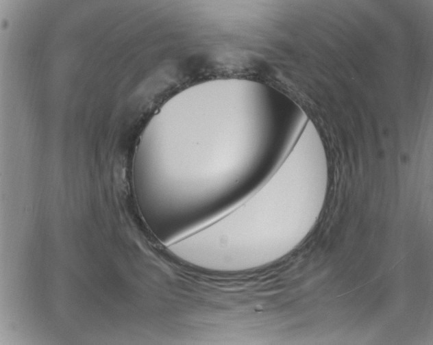 X0000065980615200603030932