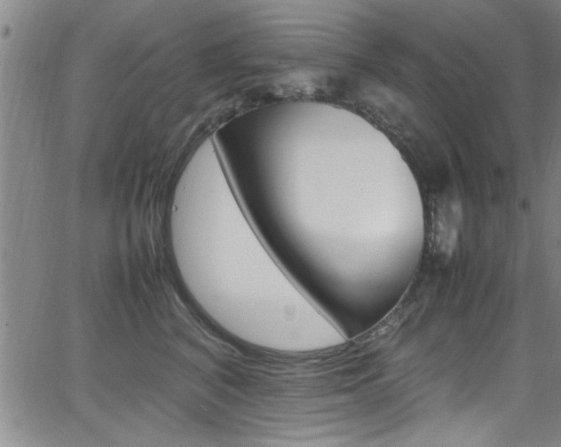 X0000065980616200603030932