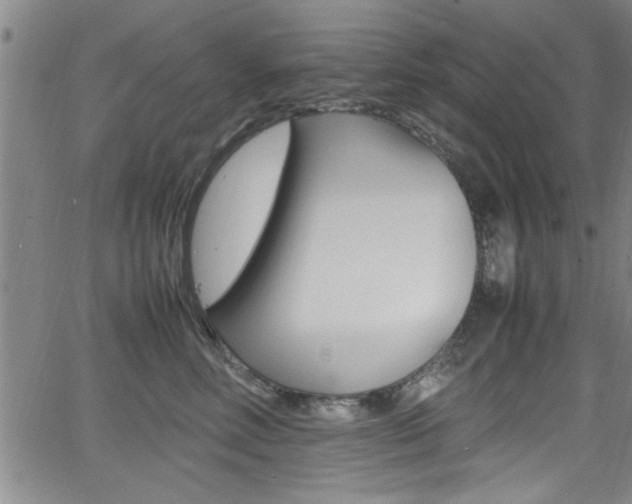 X0000065980618200603030931