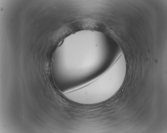 X0000065980619200603030931