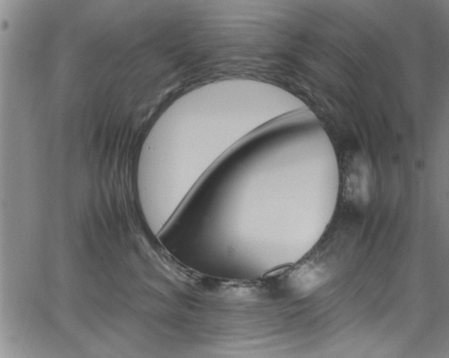 X0000065980620200603030931