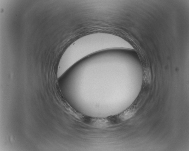 X0000065980621200603030931