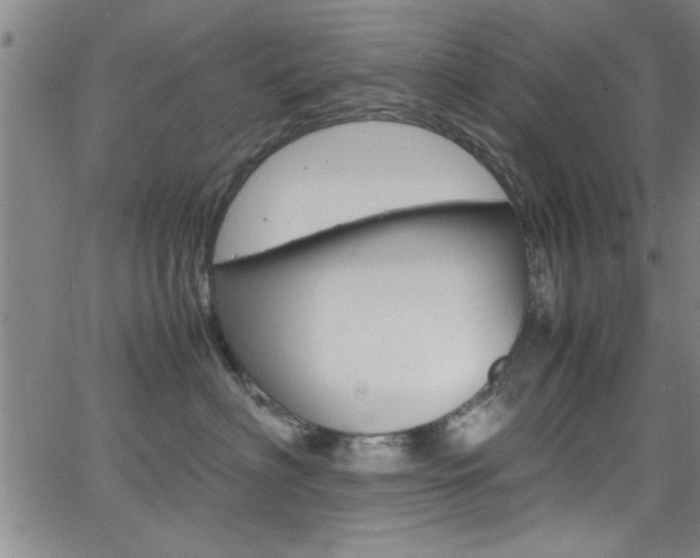 X0000065980622200603030931