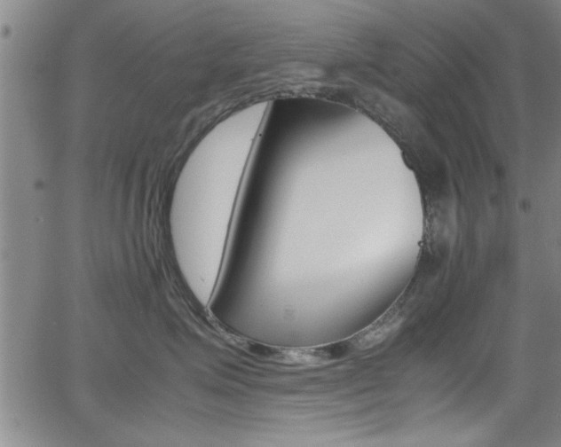 X0000065980623200603030931