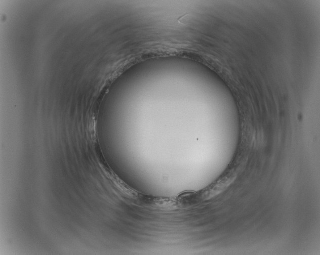 X0000065980624200603030931