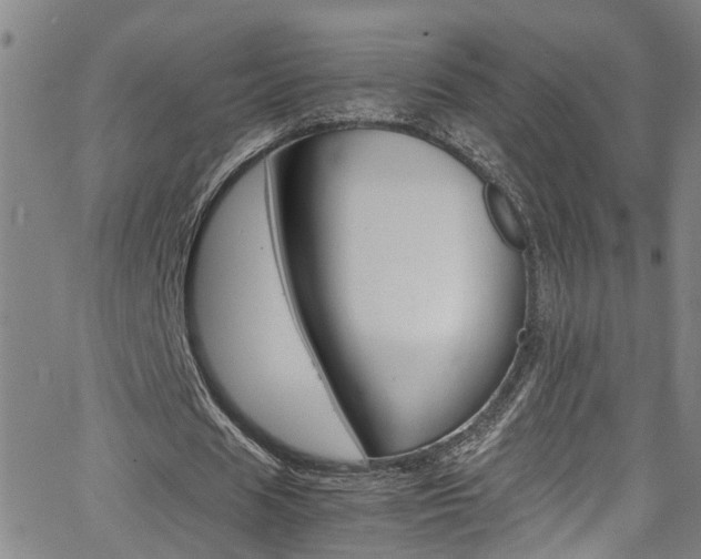 X0000065980625200603030931