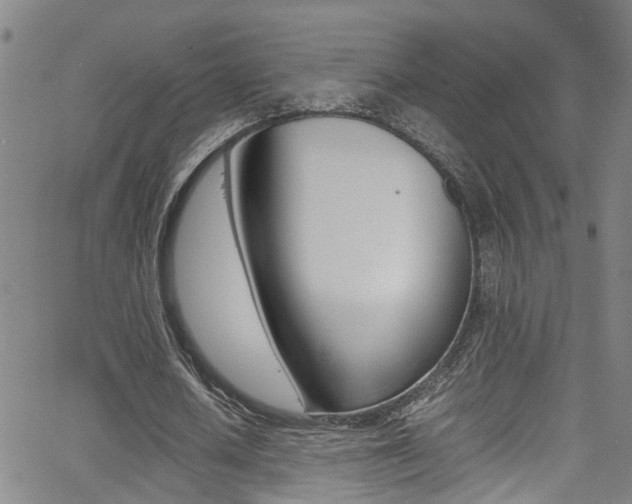 X0000065980626200603030931