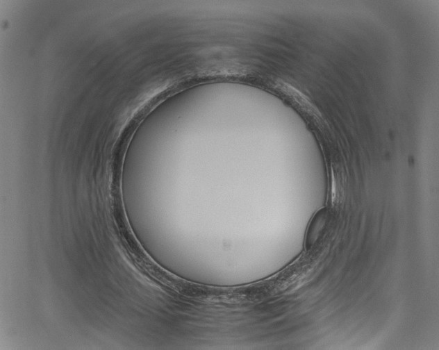 X0000065980627200603030931