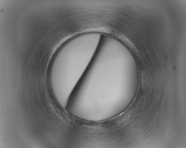 X0000065980628200603030931