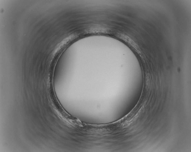 X0000065980629200603030931