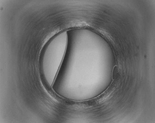 X0000065980630200603030931