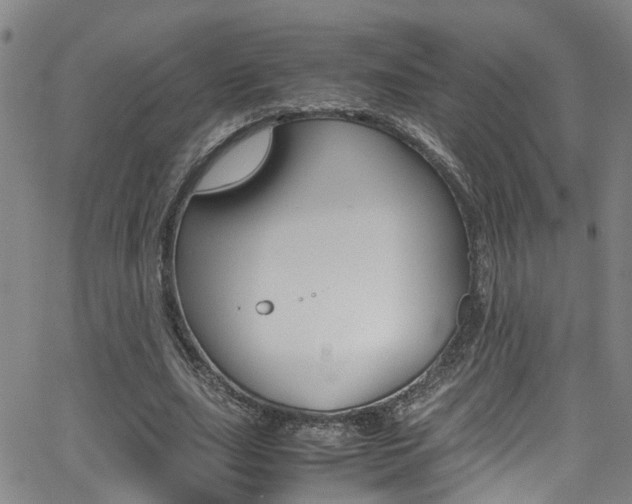 X0000065980631200603030931