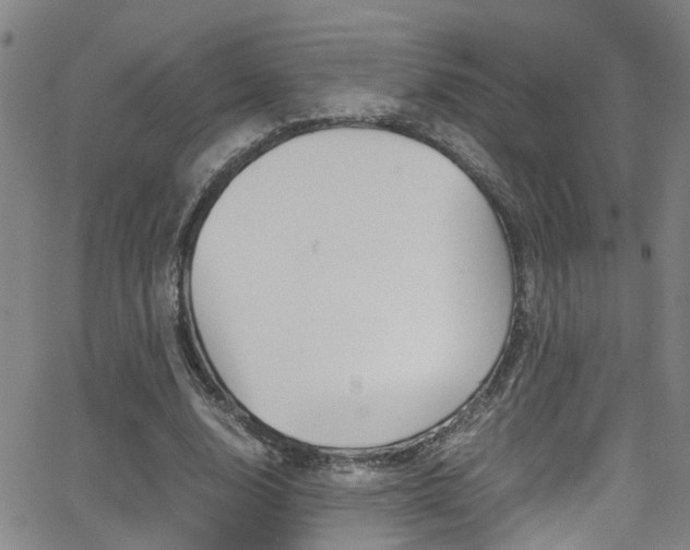 X0000065980632200603030931