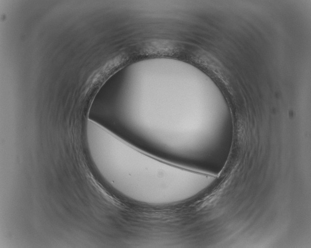 X0000065980633200603030931