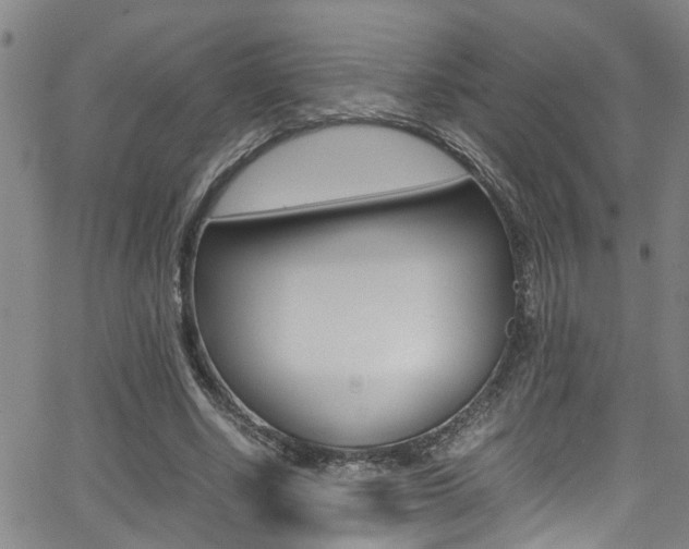 X0000065980634200603030931