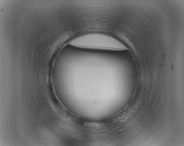 X0000065980635200603030931