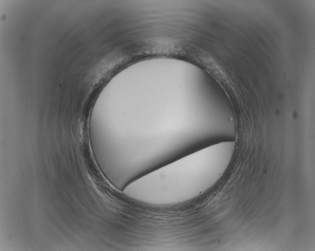 X0000065980636200603030931