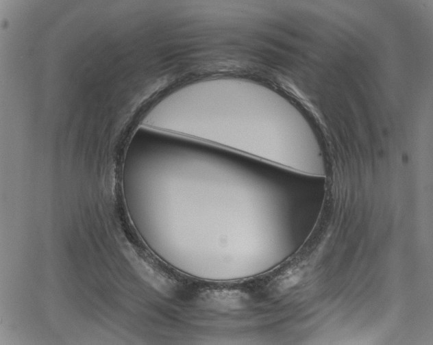 X0000065980637200603030931