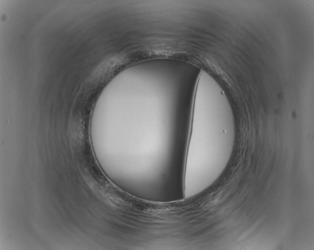 X0000065980639200603030931