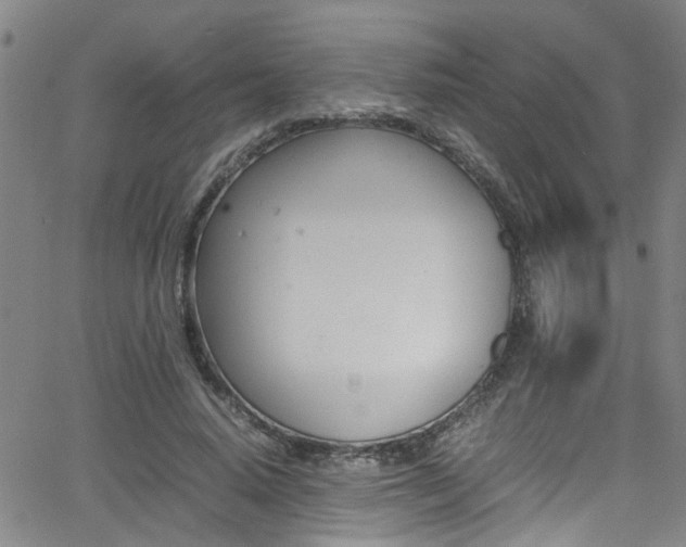 X0000065980640200603030931