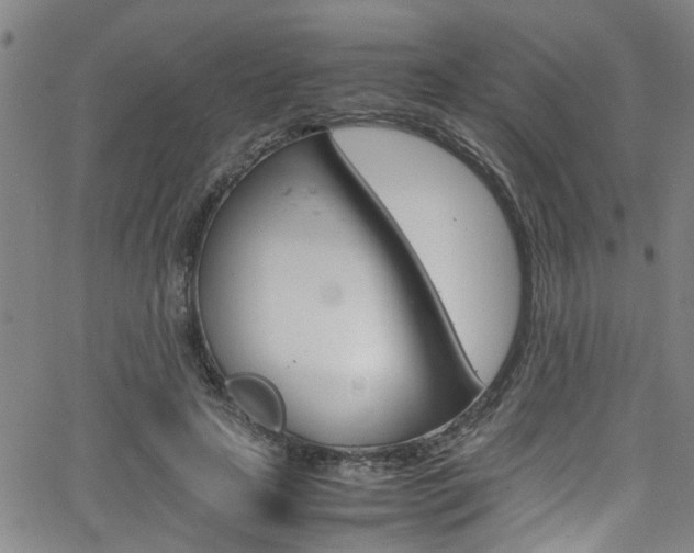 X0000065980641200603030931