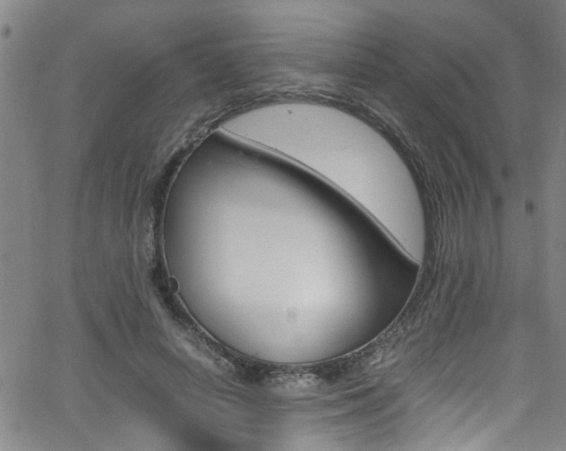 X0000065980642200603030931