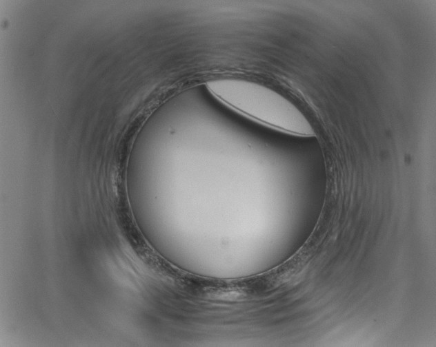 X0000065980643200603030931