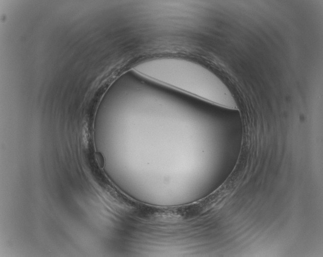 X0000065980644200603030931