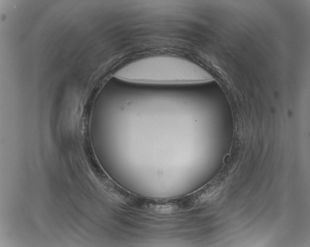 X0000065980645200603030931