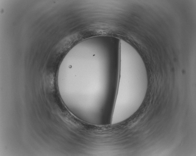 X0000065980646200603030931